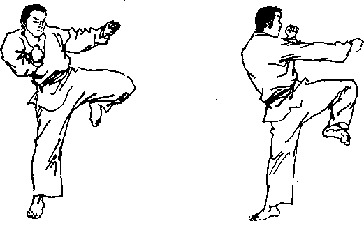 截拳道右膝法击打