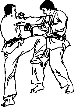 截拳道侧膝击打腰腹