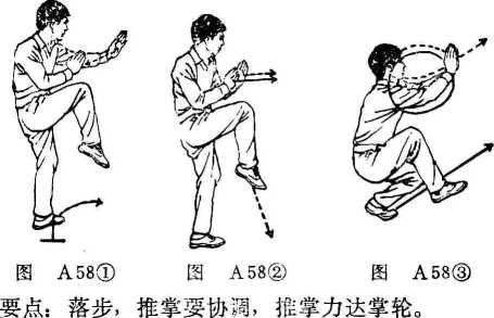 白猿通背拳 中国武術 白猿通背拳 中国語 中国拳法 白猿通背拳 中国武術