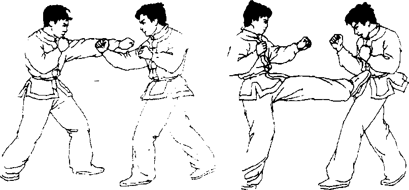 中华武术技击法
