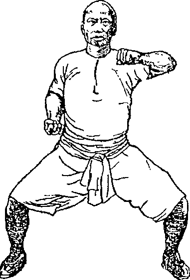 水上飛行・軽身功夫秘伝/白燕生/昭和49年/武術の一種で拳法・脚