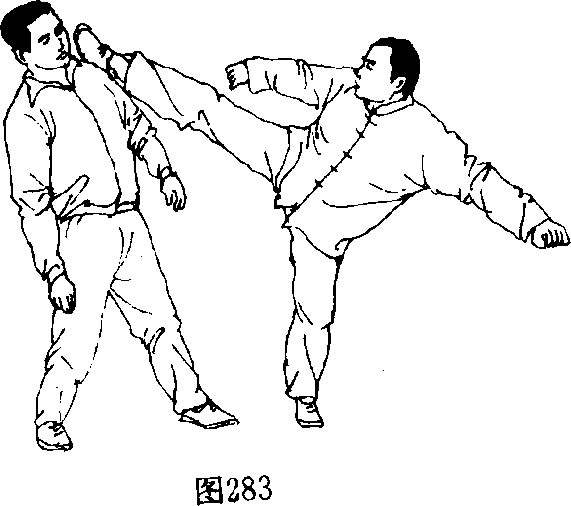 一,弹踢里合腿|鸳鸯脚制敌绝技|武术世家