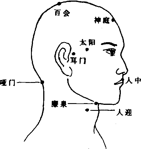 八,头颈部穴位|少林特功技击术|武术世家