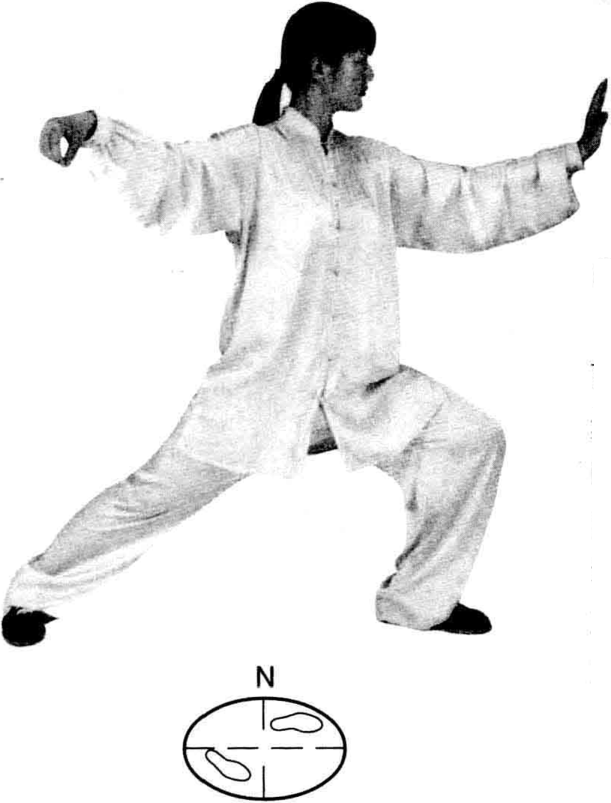 八、丁步勾手|四十八式太极拳|武术世家-众多习武书籍PDF电子书