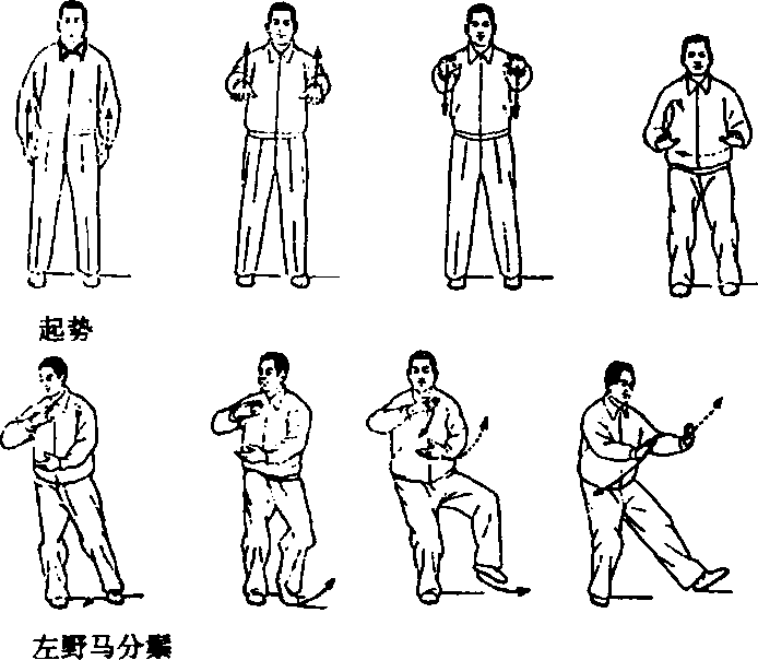 武当三封太極拳（武當三豐太極拳） 劉嗣傳 著 人民体育出版社