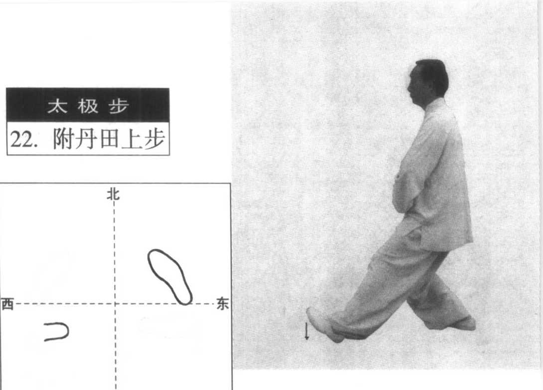 传统杨氏太极拳入门练功的程序--活桩（1） - 知乎