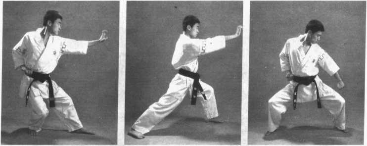 武林名門 沙家 武術大全 下巻 内家拳編 Amazon.co.jp: 武林名門 沙家 武術大全 下巻 内家拳編 [DVD] : DVD