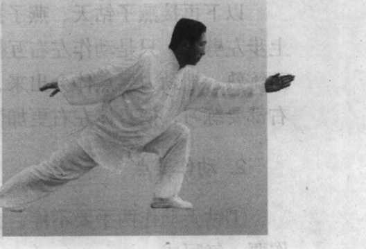 形意拳械精解上