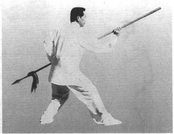 形意拳械精解下