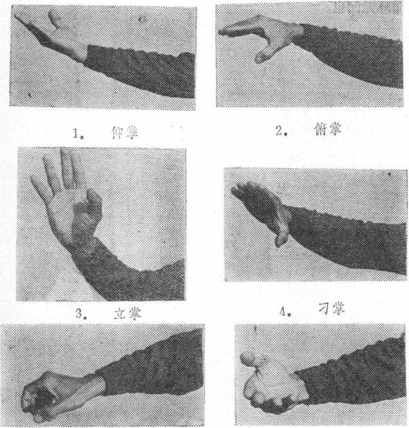 一、八卦掌主要掌型图|正宗八卦掌|武术世家-众多习武书籍PDF电子