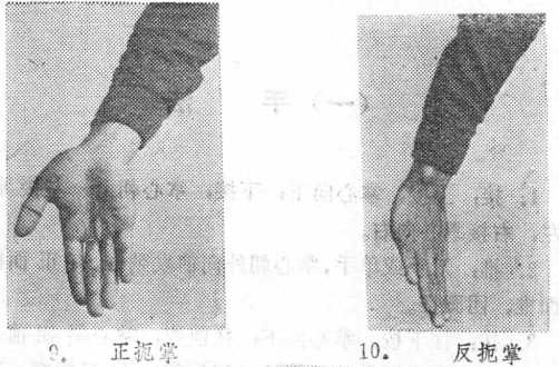 传统八卦掌 第一册 八卦掌---武藏(一)