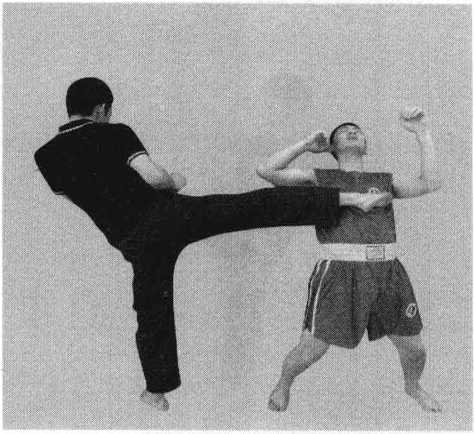 散打教学与训练