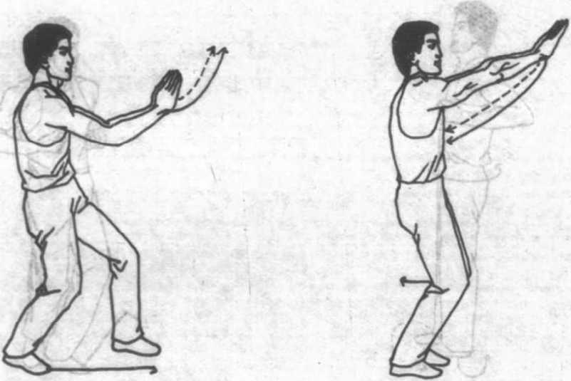 十五、两臂由|咏春拳|武术世家-众多习武书籍PDF电子书免费下载