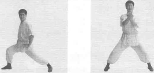 南派少林拳正宗 秘拳 白鶴門食鶴拳