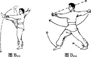 图片100