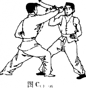 图片20