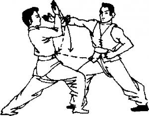 图片21