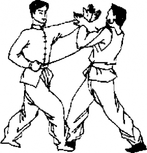 图片11