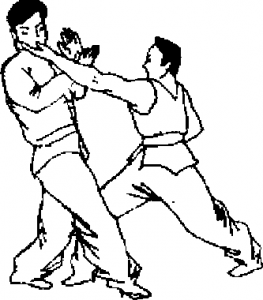 图片14
