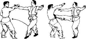 图片19
