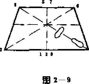 图片7