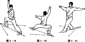 图片12