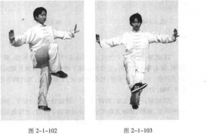 图片50