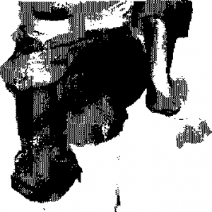 图片22