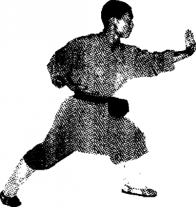 图片13