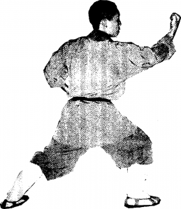 图片44