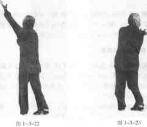 图片33