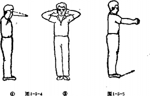 图片10