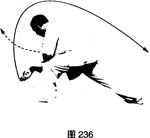 图片13