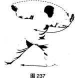 图片14