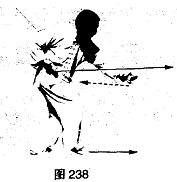 图片15
