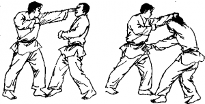 截拳道是什么右掌立刺