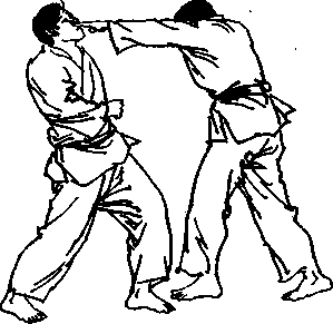 什么是截拳道左戳指插击敌眼