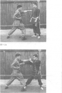 图片19