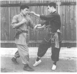 图片24