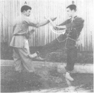 图片20
