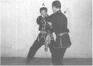 图片30