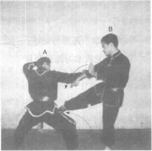 图片33