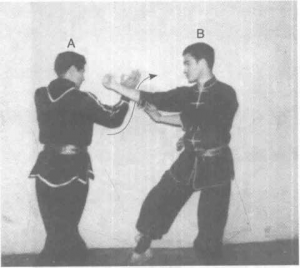 图片31