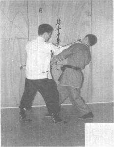 图片40