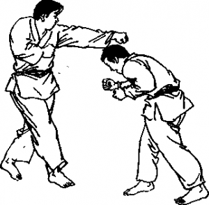 截拳道前手摆拳