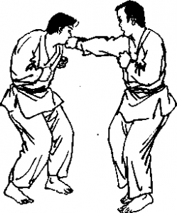 截拳道右摆拳击敌头侧部
