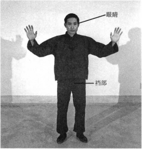 图片1