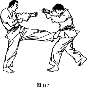 截拳道左蹬腿