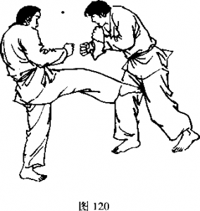截拳道右腿弹踢裆部
