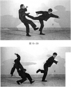 图片126